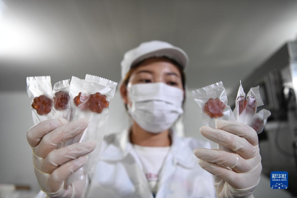 娱乐平台登录